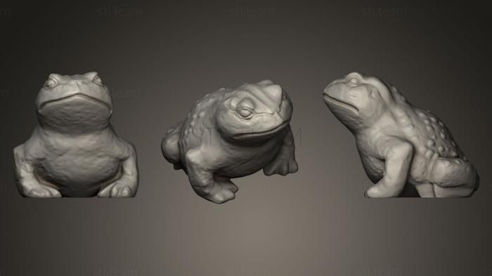 Статуэтки животных Toad Sculpture 3D
